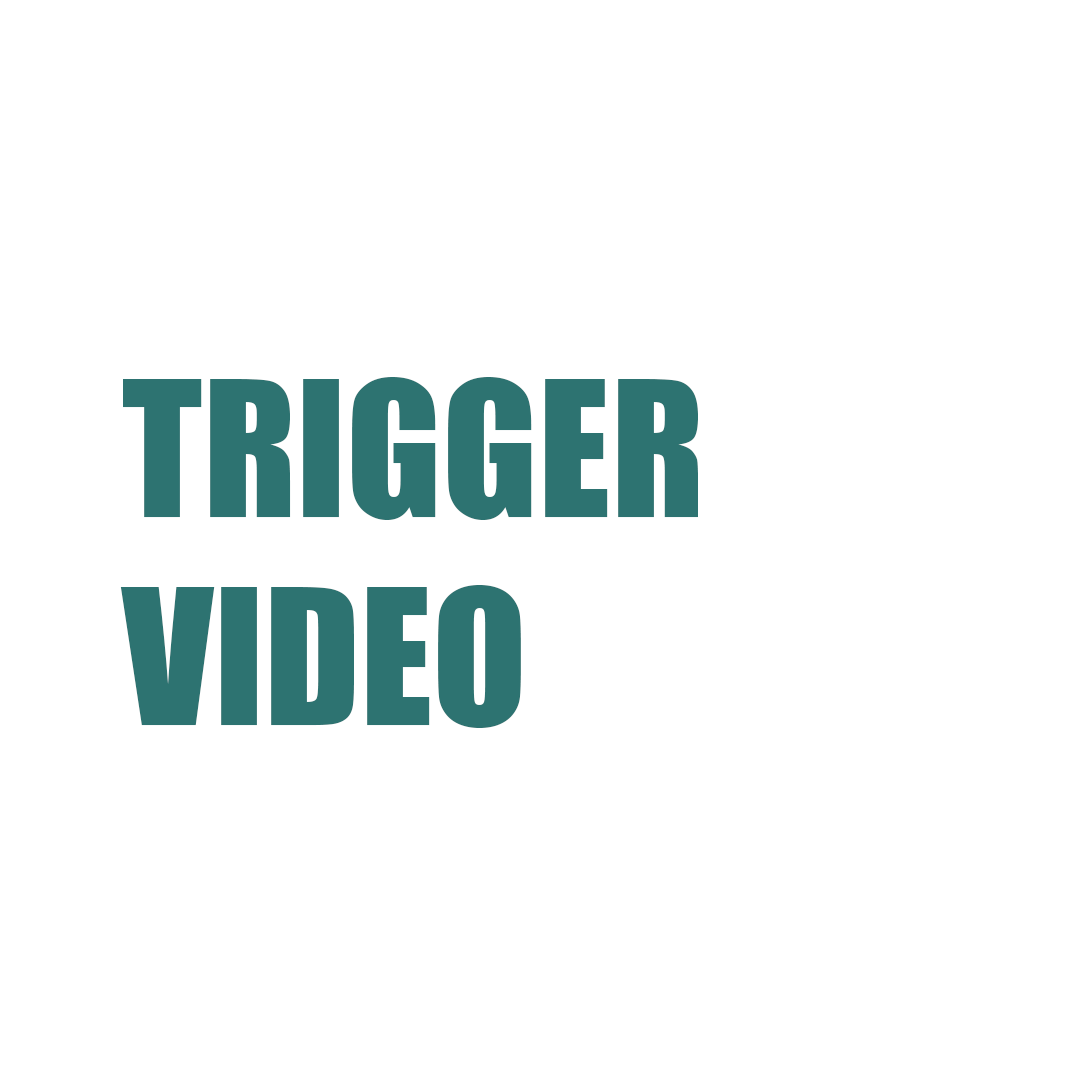 TRIGGER VIDEO PRODUCTION SERVICES